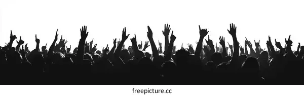 Crowd of Enthusiastic Concertgoers Raising Hands