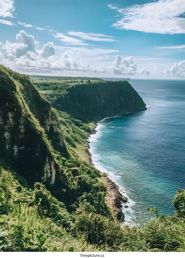 Cliffside View of Lush Green Landscape and Ocean