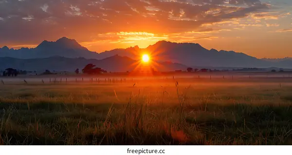 Golden Sunrise over Mountain Meadow