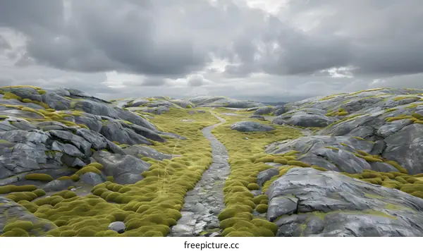 Rocky Landscape With Path and Green Moss