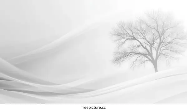 Winter Daytime Majestic Tree Landscape