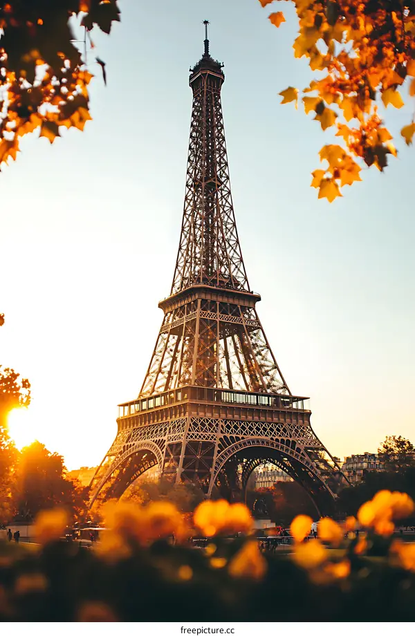 Eiffel Tower in Paris, France with Fall Foliage