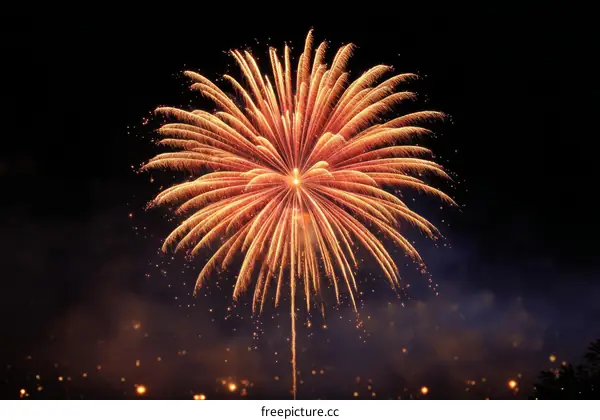 Spectacular Fireworks Display Against a Dark Night Sky