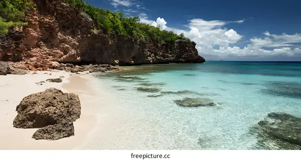 Clear Water Beach in Tropical Paradise
