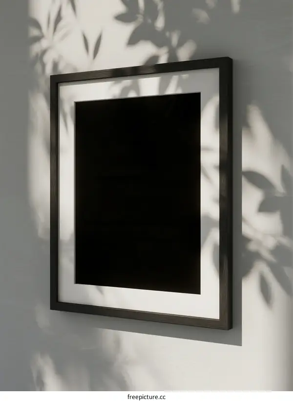 A Black Picture Frame Hanging on a Wall with Leaf Shadows