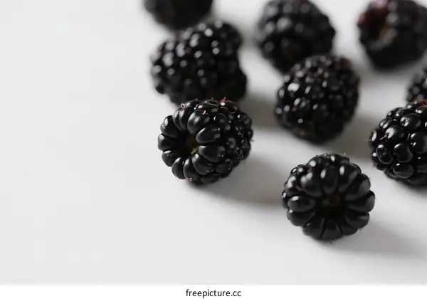 Fresh Blackberries on White Background with Natural Color