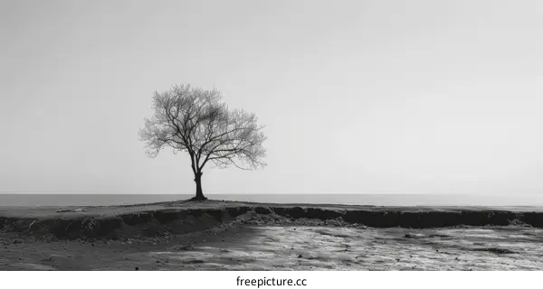 Lonely Tree on a Cliff Overlooking a Body of Water