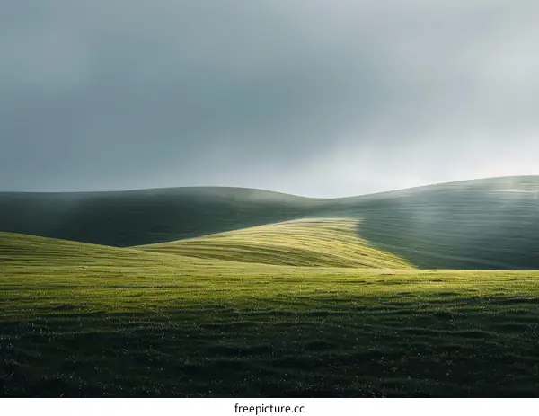 Green rolling hills under a grey sky