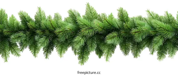 Christmas Fir Garland Border Decoration
