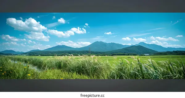 Green Meadow Landscape With Blue Sky and White Clouds