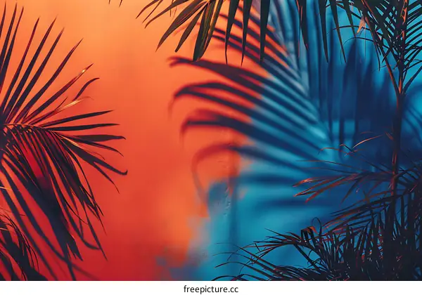 Palm Tree Shadows on Red and Blue Wall