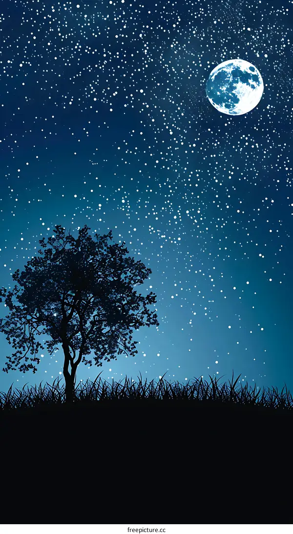 Night Sky with Full Moon and Stars