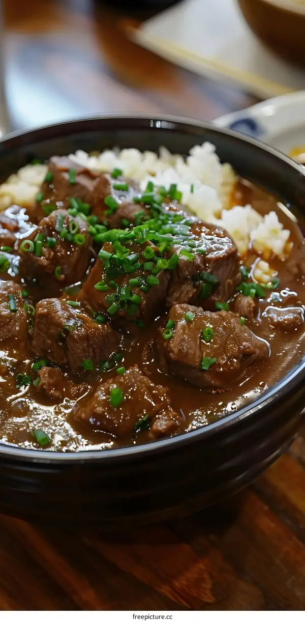 Japanese beef curry with rice