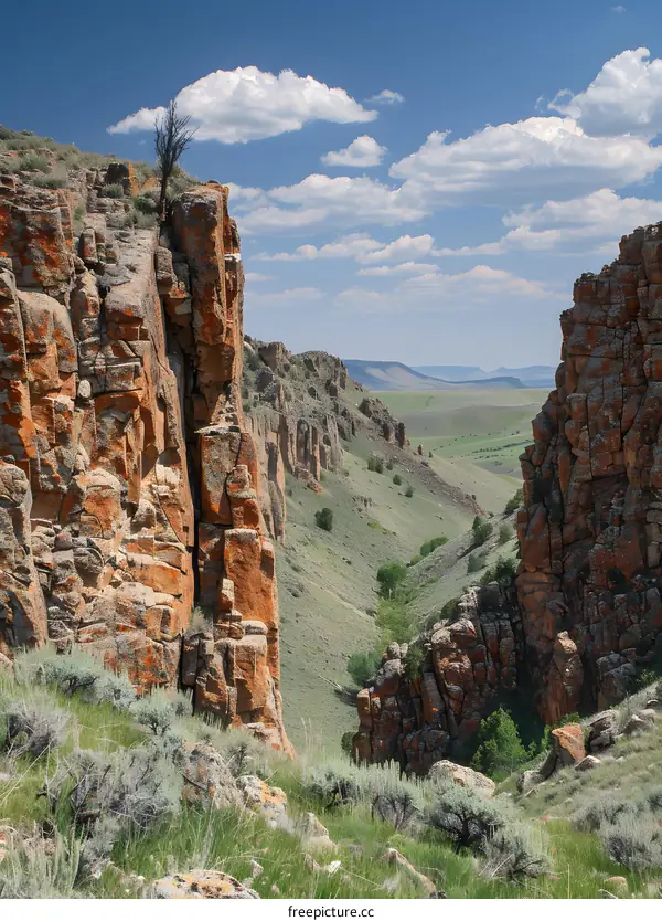 A View Through the Canyon Walls