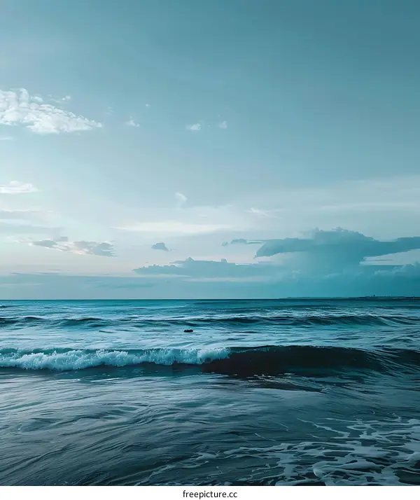 Sea Horizon With Clouds And Waves