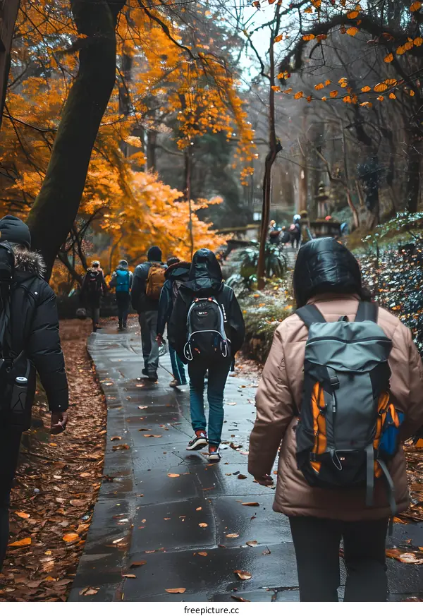 Group of People Walking on Path Through Forest During Autumn