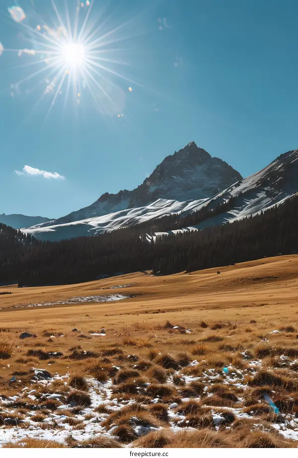 Snowy Mountain Peak with Forest and Field in the Foreground