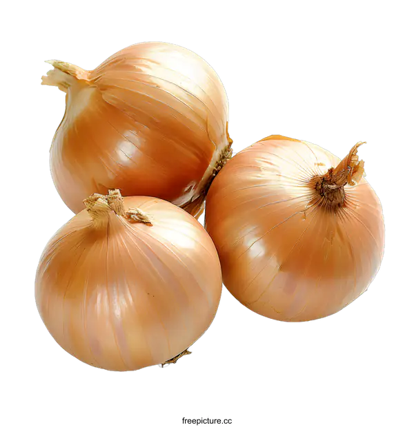 [Transparent Background PNG]Three Onions on White Background