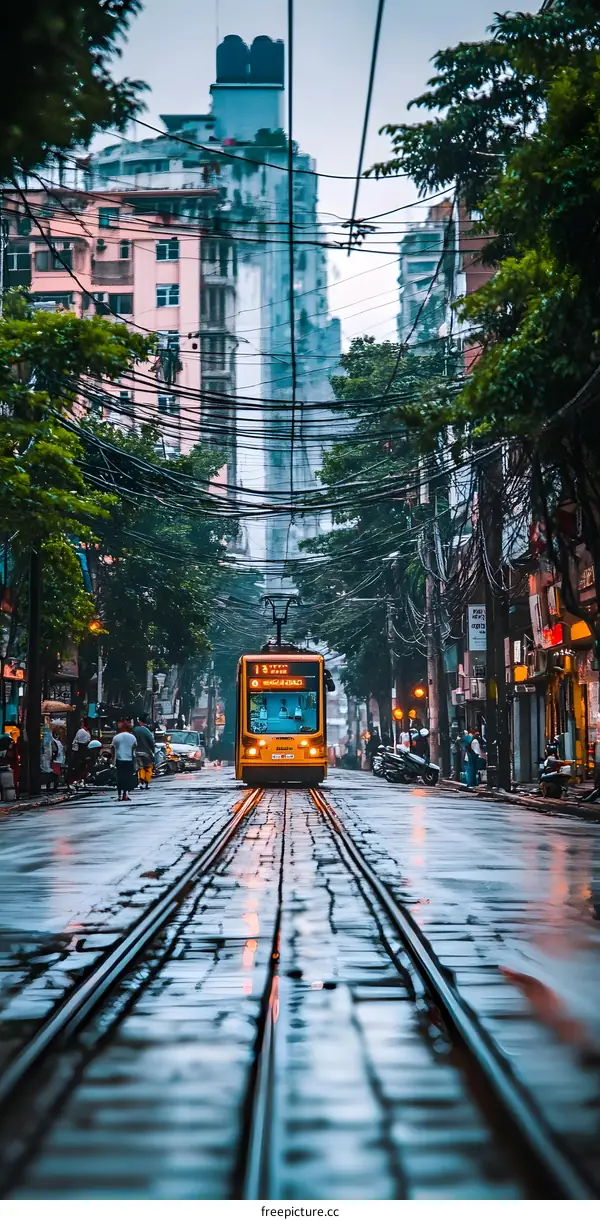 Streetcar on the City Street