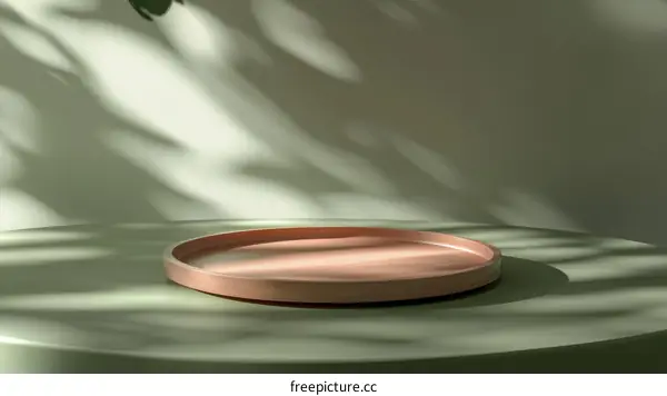 Empty Light Pink Wooden Tray Display on Pastel Green Background