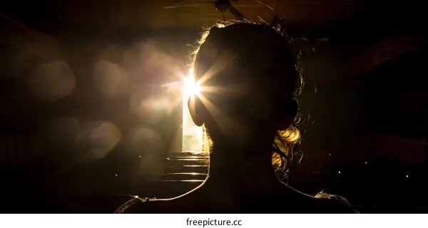 Silhouette of a Woman Facing the Sun Through a Window