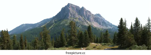 Majestic Mountain Scenery with Pine Forest