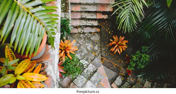 Stone Pathway with Lush Tropical Plants