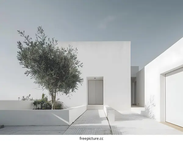 Minimalist White Building with Olive Tree