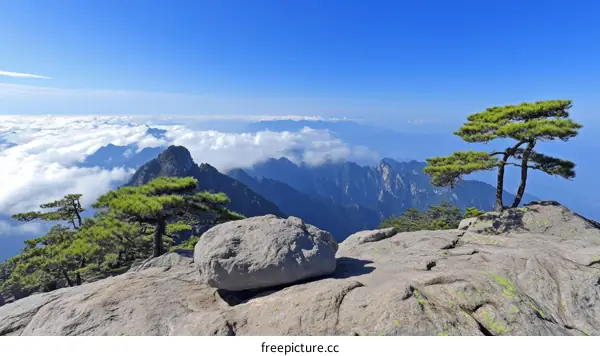 Mountain Peak Landscape with Pine Trees