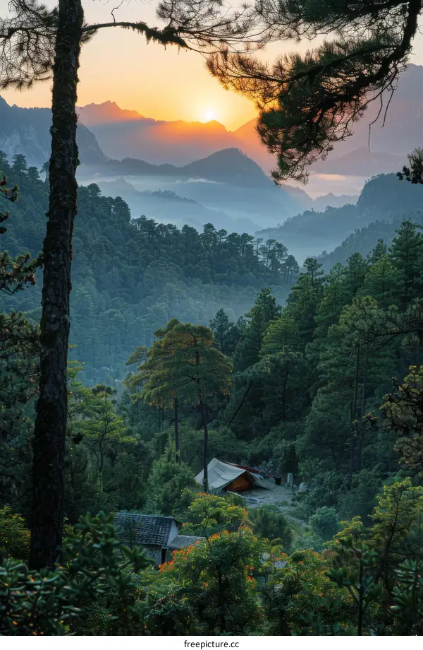 Misty Mountain Camping: A Scenic Adventure