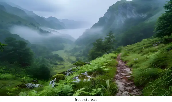 A verdant valley shrouded in mist