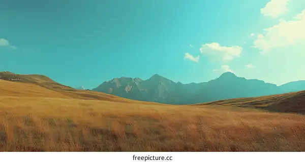Mountain Landscape With Blue Sky And Grassy Field