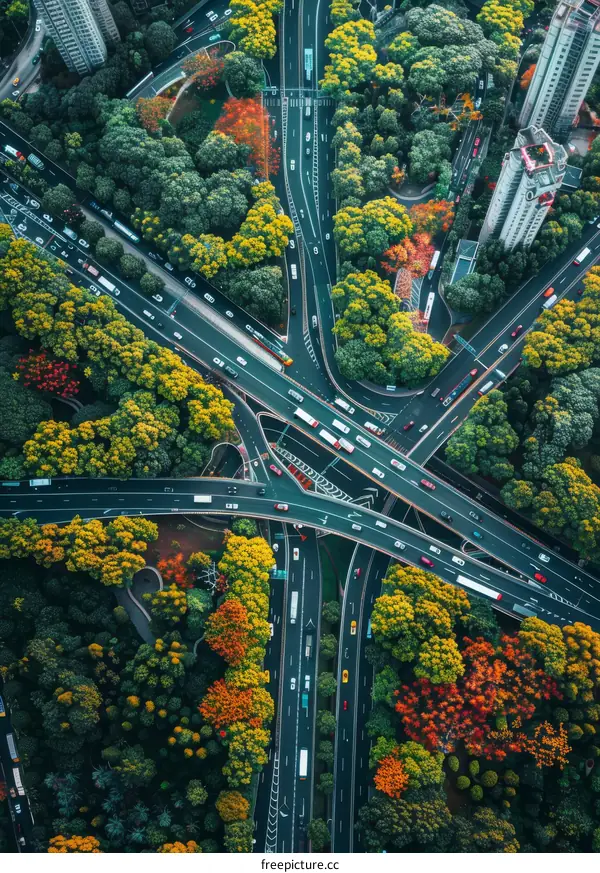 Autumn Foliage Surrounds Urban Expressway Interchange