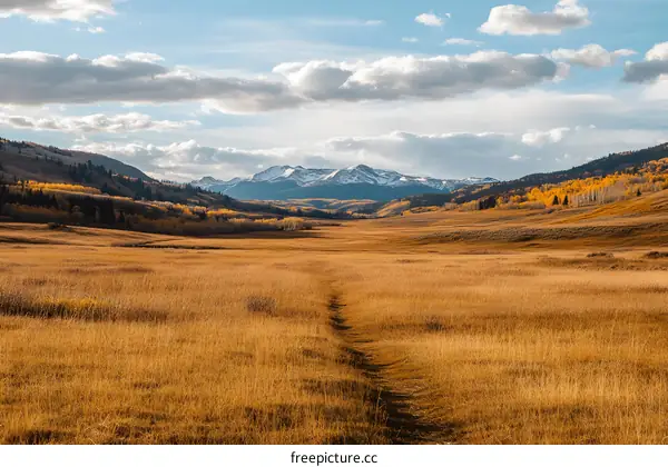 Mountain View with Pathway Through Field