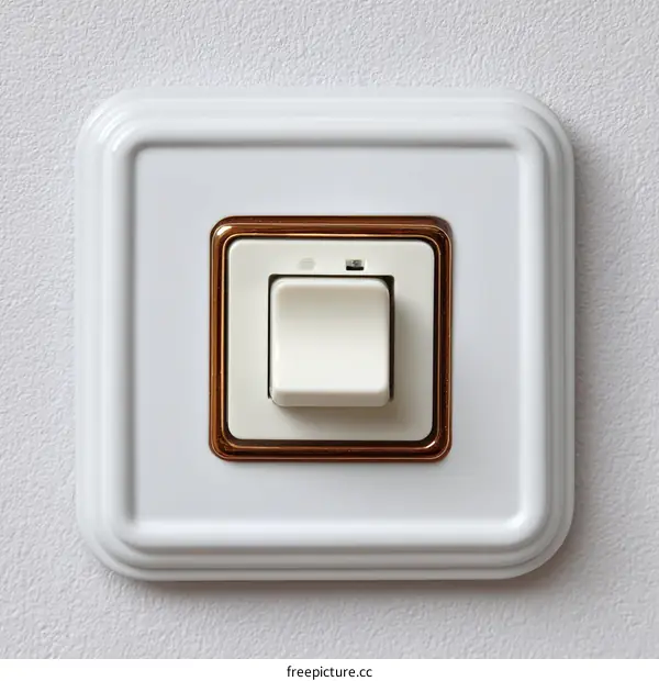 Elegant White Light Switch with Copper Accents