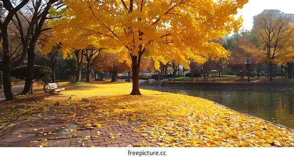 Golden Autumn Leaves Fall by the Pond