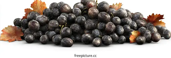 A Cluster of Dark Grapes with Autumn Leaves