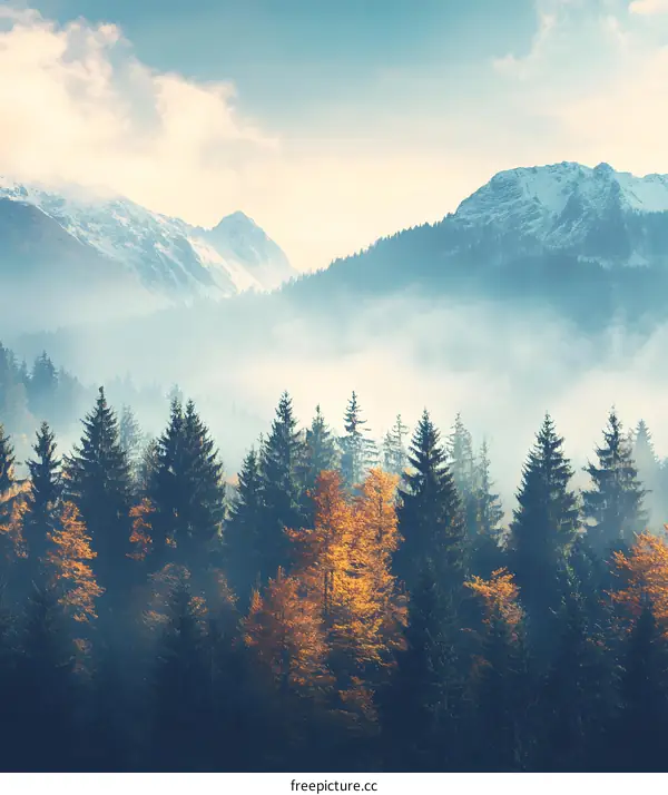 Misty Mountain Landscape with Autumn Trees