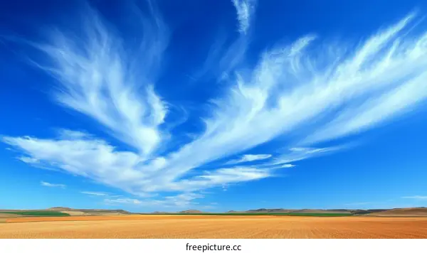 Stunning Sky Over a Vast Field