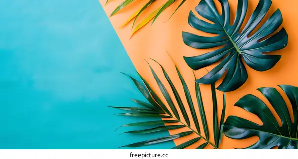 Tropical Leaves on a Blue and Orange Background
