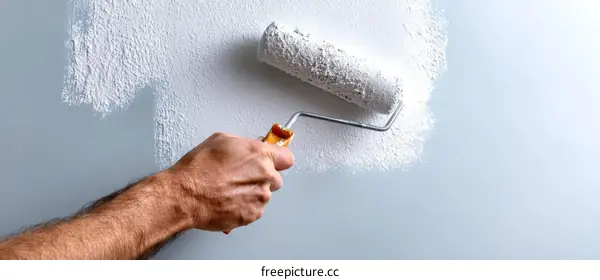 Painting a Wall with a Roller - Home Improvement