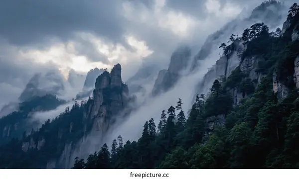 Misty Mountain Peaks and Lush Forests