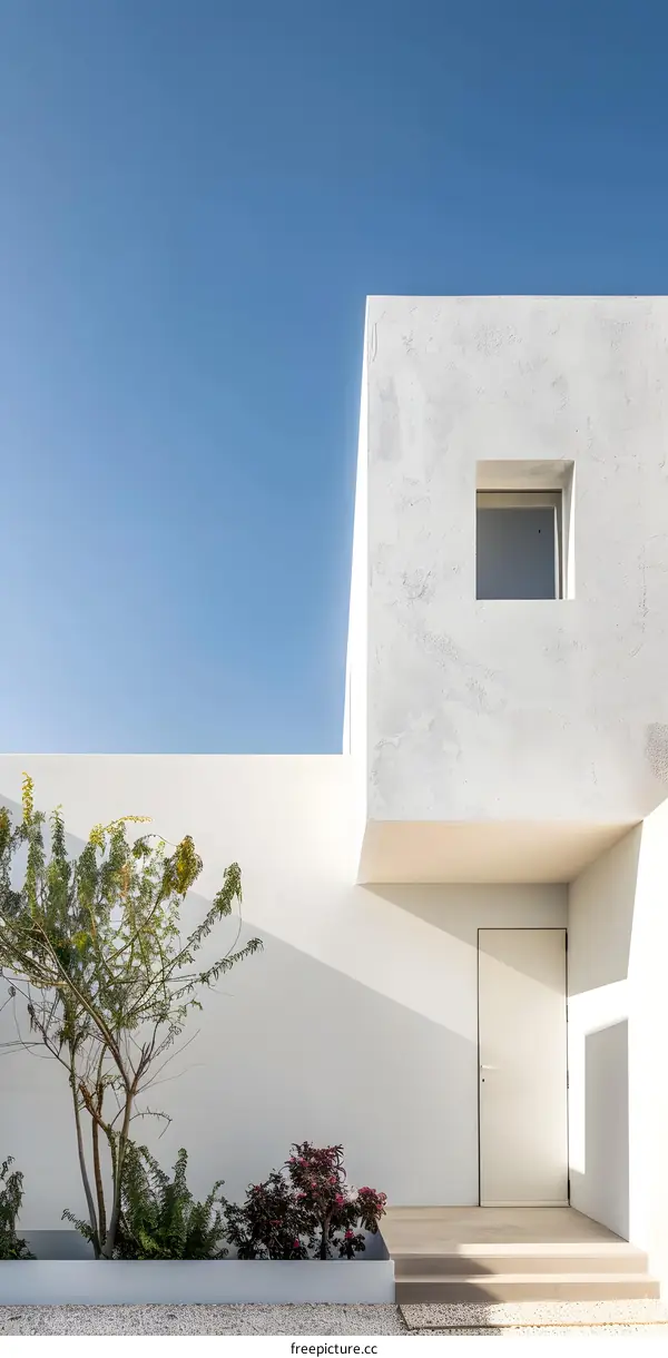 Minimalist White Modern House Exterior with Plants