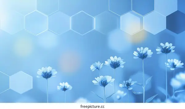 Delicate Blue Flowers and Hexagonal Patterns