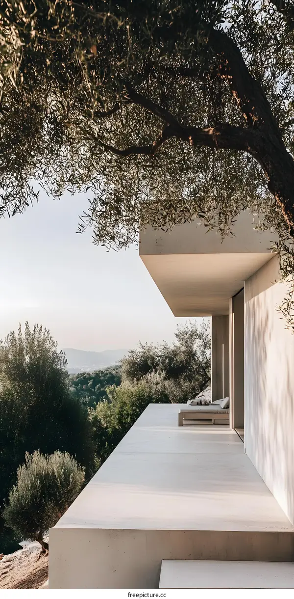 Modern Concrete House with Olive Tree Overlooking Mountain View