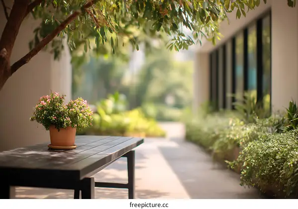 Outdoor Patio Table with Plants and Sunlight