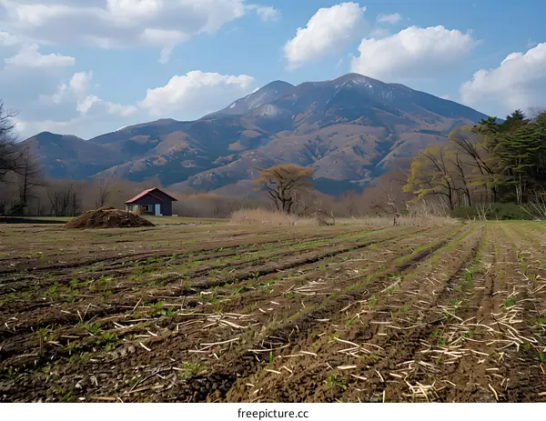 Small House and Farmland with Mountain Background