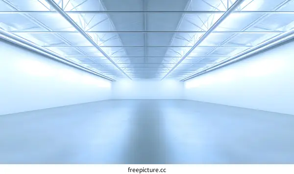 Empty White Room with Ceiling Grid and Lights