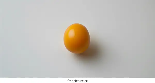 single yellow egg on white background