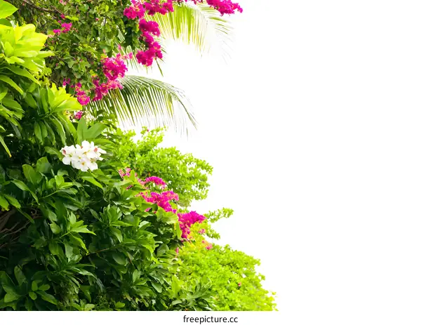 Tropical Green Foliage and Flowers Border on White Background